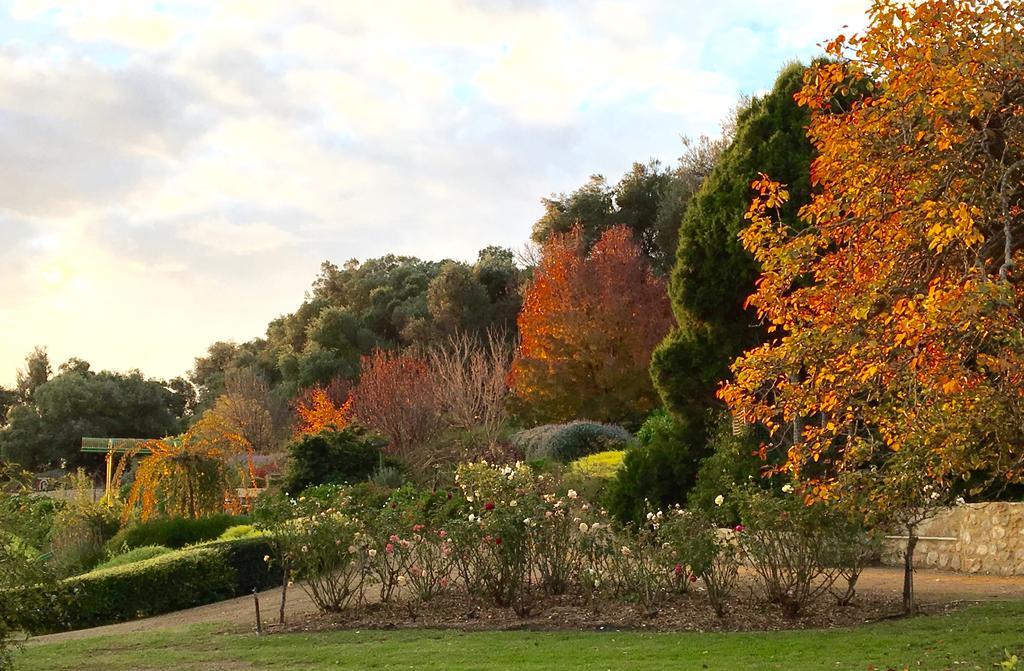 The Garden Cottage At The Olives Yankalilla 외부 사진